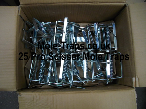 Twenty Five Talpex Style Mole Traps for £126.99 inc. England & Wales delivery 