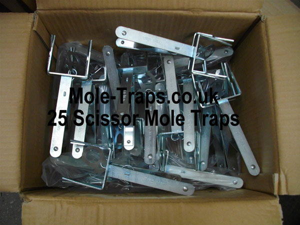 25 Scissor mole traps, moles causing you a BIG problem ? improve you're chances set ALL 25 for a good hit