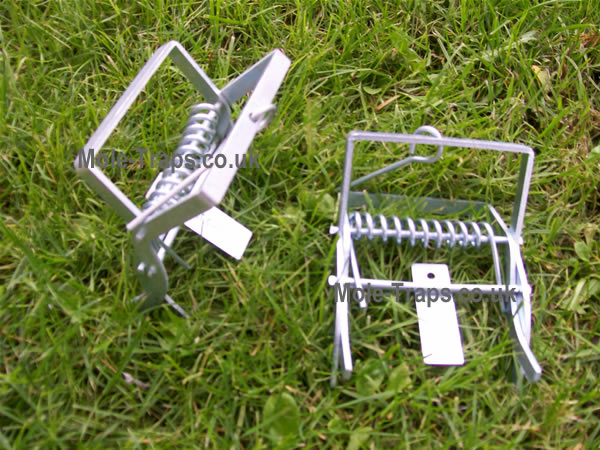 talpex mole traps