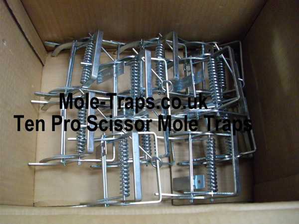 Ten Talpex Type Mole Traps